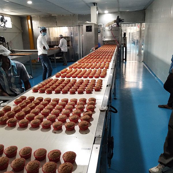 Ligne de production de gâteaux (gâteaux éponge ou génoises)