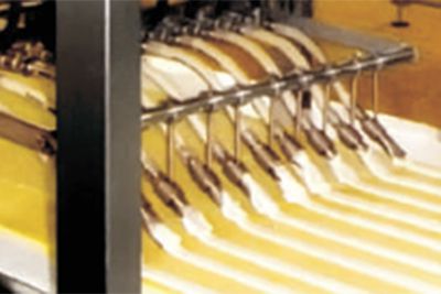 Ligne de production de gâteaux (gâteaux éponge ou génoises)
